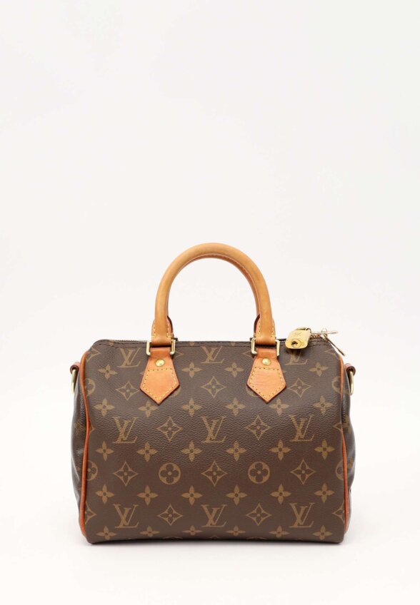 Louis Vuitton Speedy