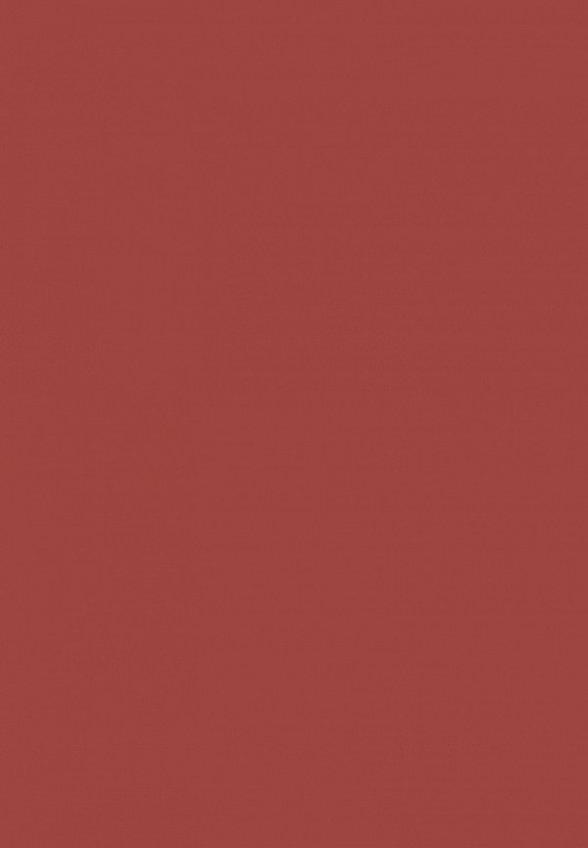 Помада Clarins