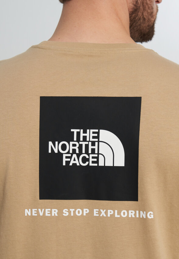 Футболка мужская The North Face Evolution, Бежевый