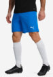 Шорты мужские PUMA Teamrise, Голубой1  - превью