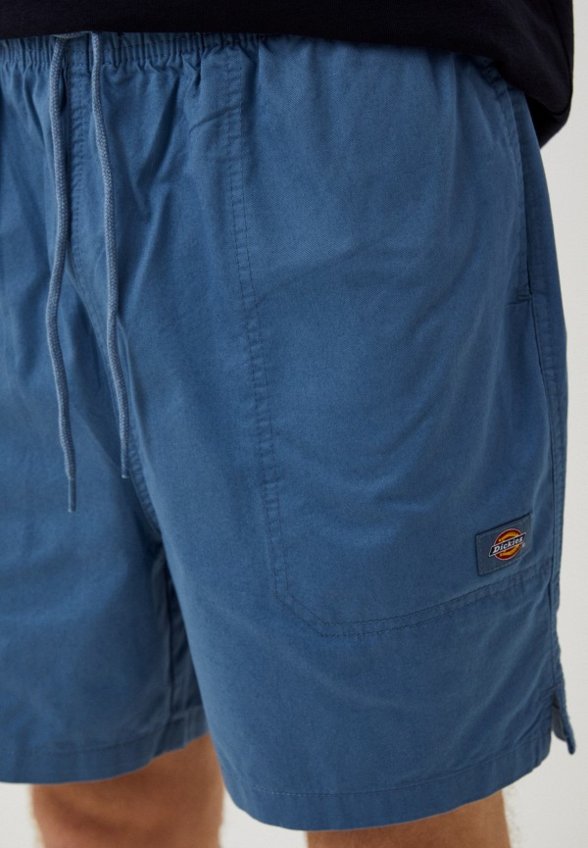 Шорты спортивные Dickies