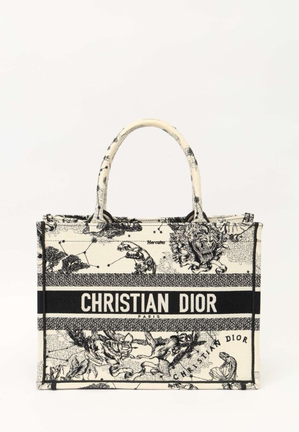Dior Book Tote