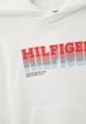 Худи Tommy Hilfiger3  - превью
