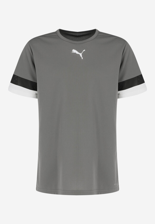 Футболка мужская PUMA Teamrise Jersey, Серый