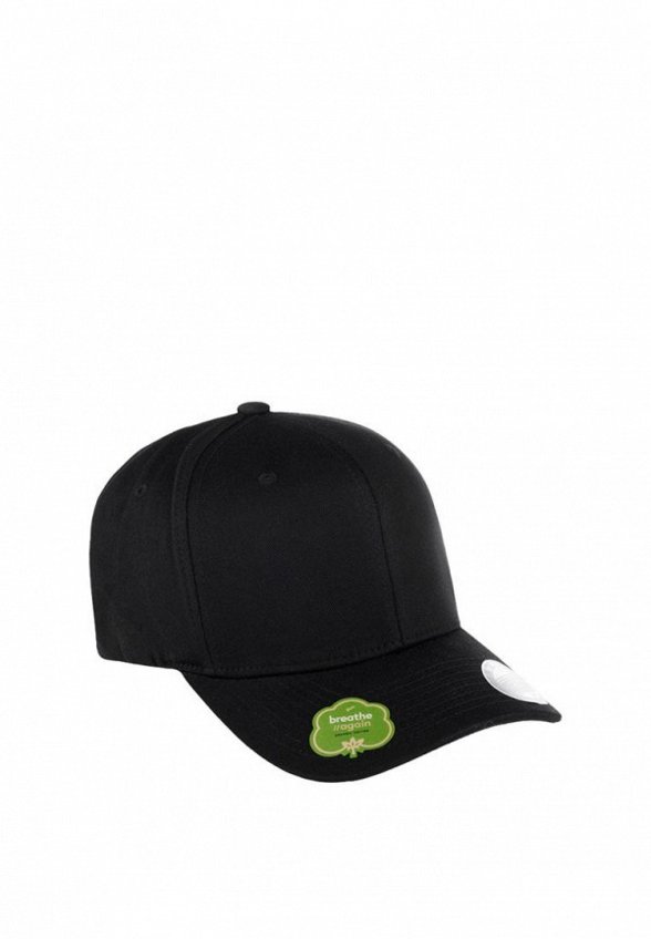 Бейсболка Flexfit