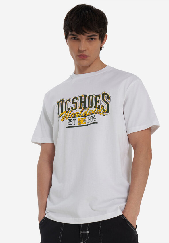 Футболка мужская DC Shoes Tailgate, Белый