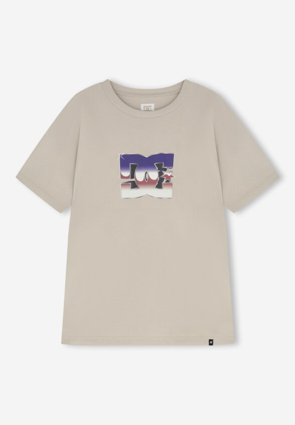 Футболка мужская DC Shoes Metallic Star, Бежевый