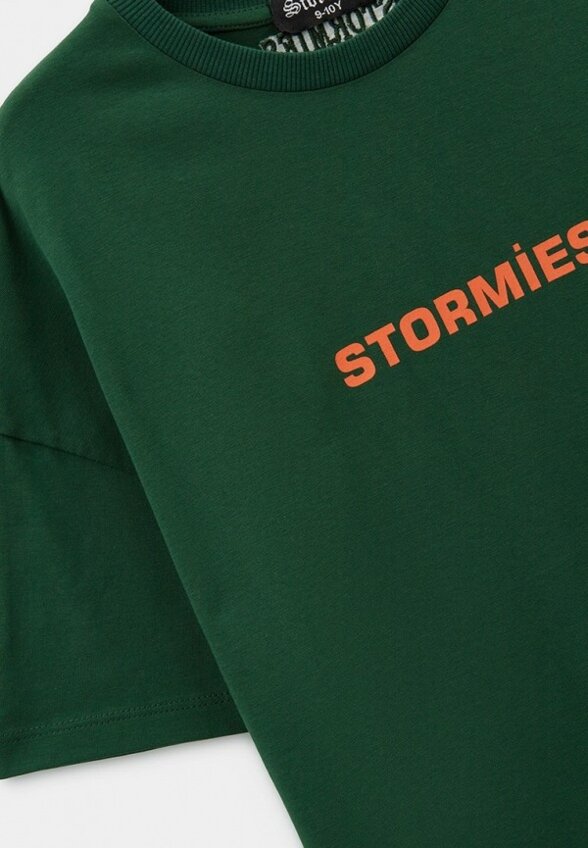 Футболка Stormies