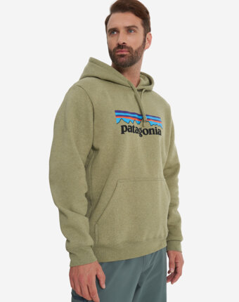 Худи мужское Patagonia Logo Uprisal, Зеленый женщинам