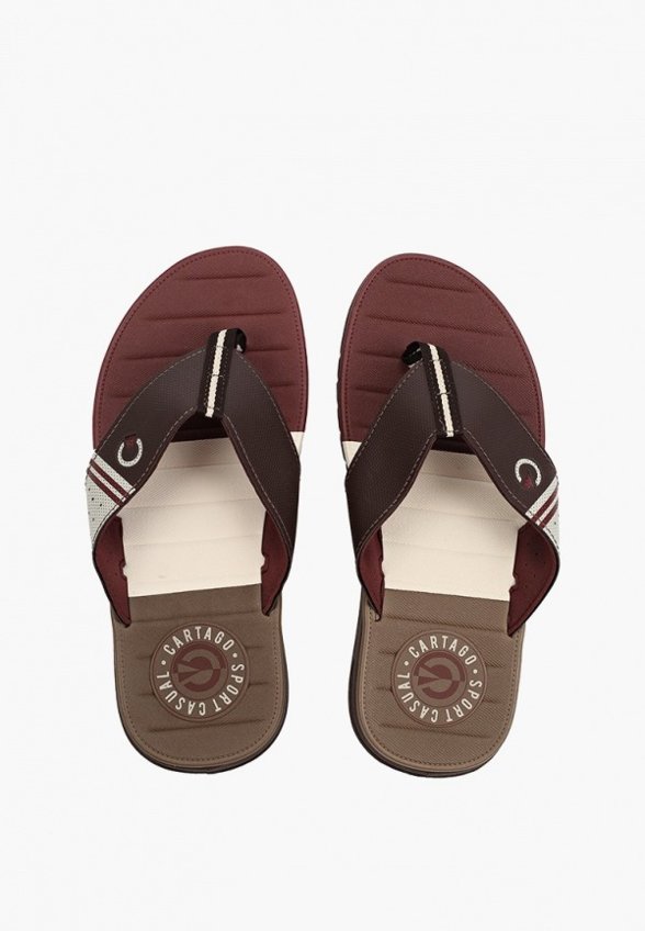 Сланцы Cartago