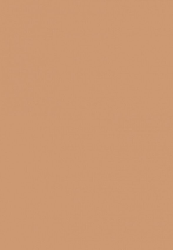 Тональный флюид Delilah