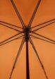 Зонт-трость Jonas Hanway4  - превью