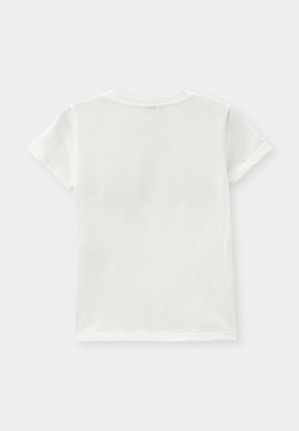 Футболка Dixie