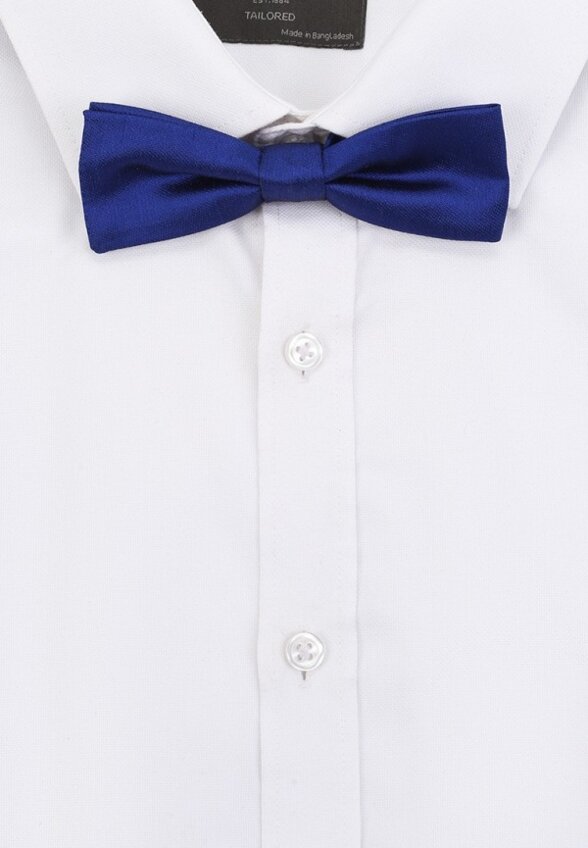 Бабочка Dolce&Gabbana