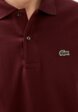 Поло Lacoste3  - превью