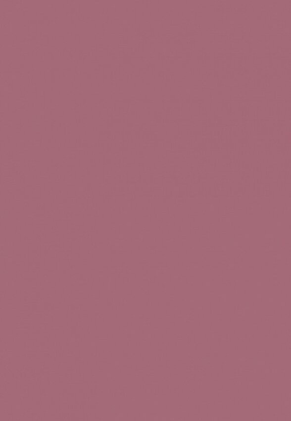 Карандаш для губ Astra