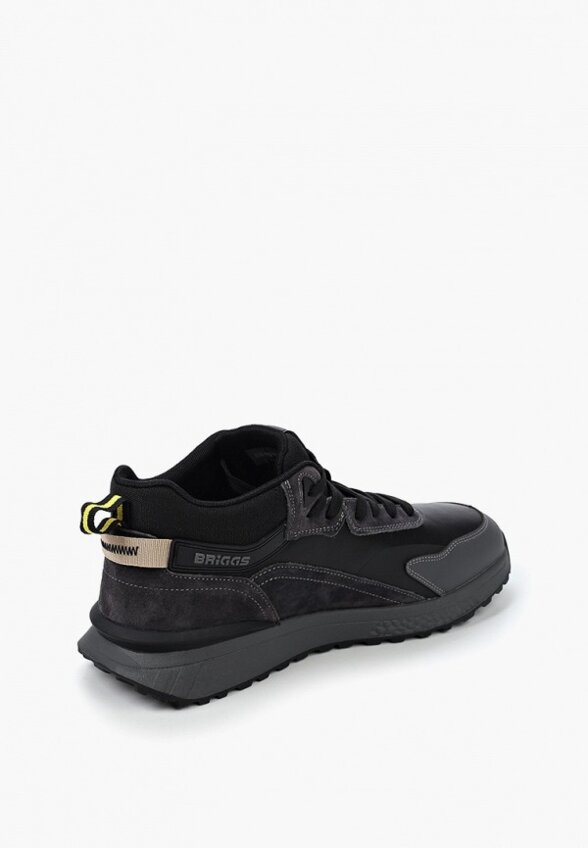 Кроссовки Briggs