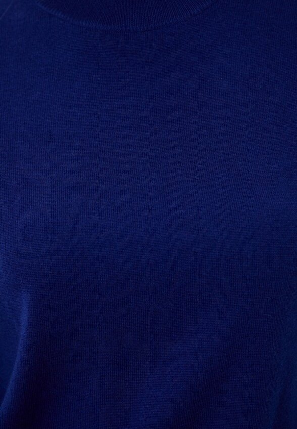 Водолазка Bulmer