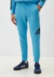 Брюки спортивные adidas5  - превью