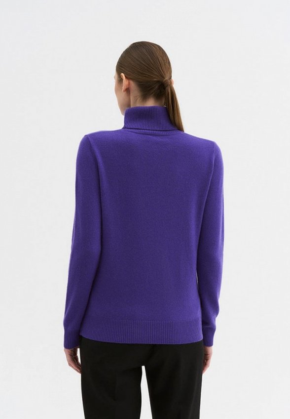 Водолазка Codici