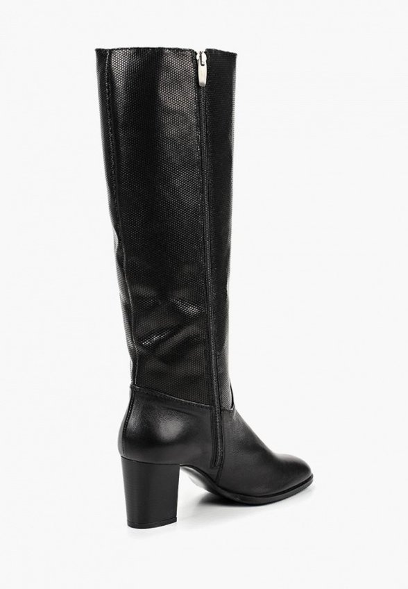 Сапоги Enzo Logana