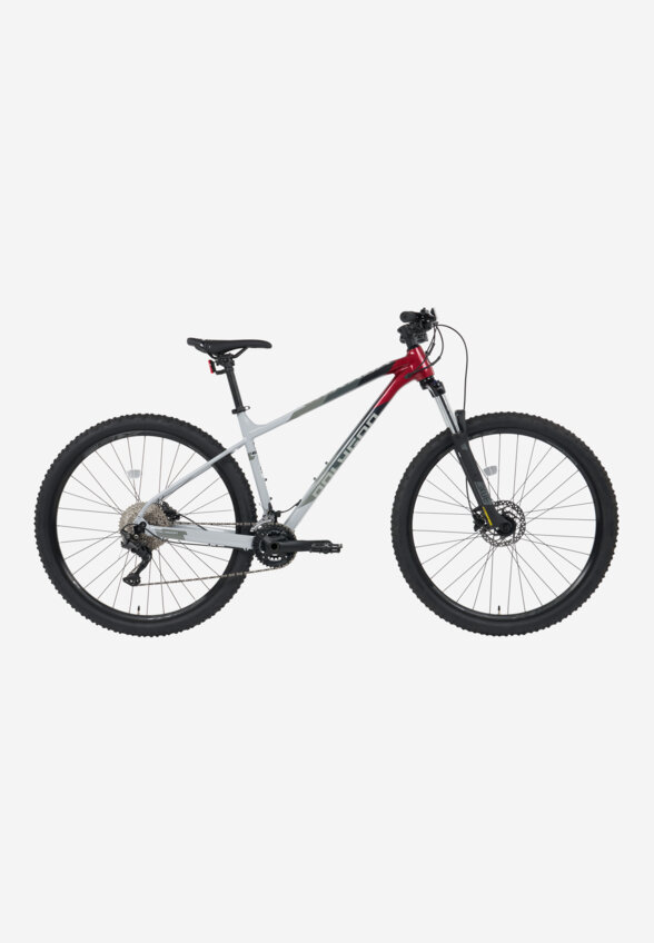 Велосипед горный Polygon Xtrada 5 29
