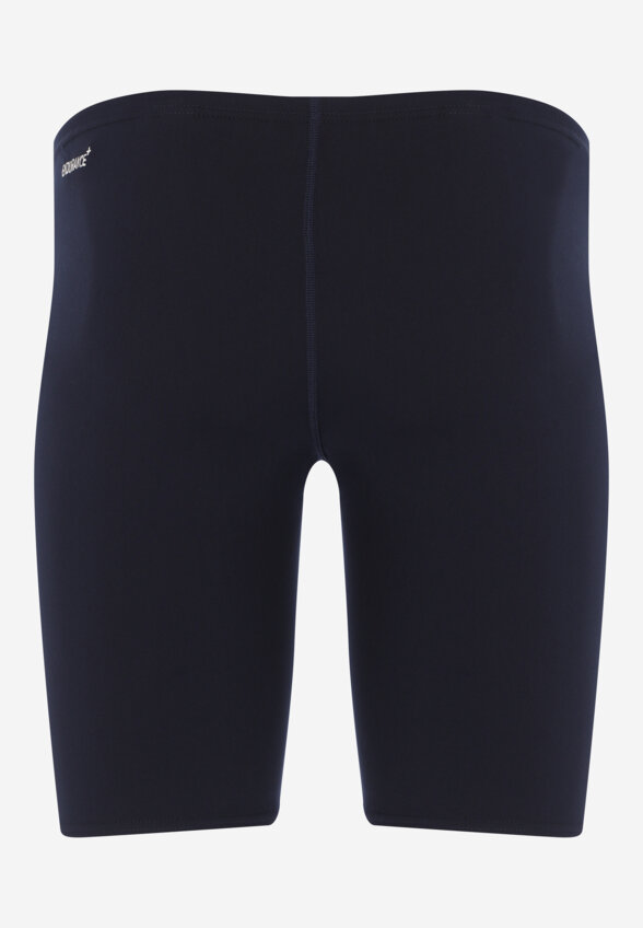 Джаммеры мужские Speedo ECO Endurance + Jammer, Синий