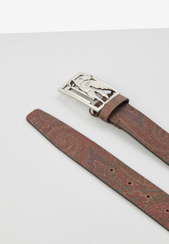 Ремень Etro