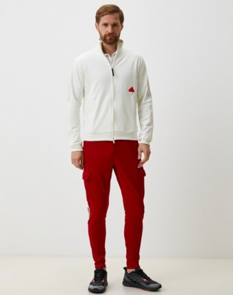 Брюки спортивные adidas мужчинам