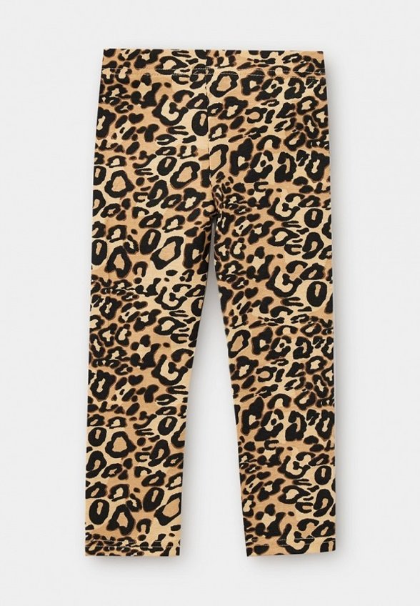 Леггинсы Acoola