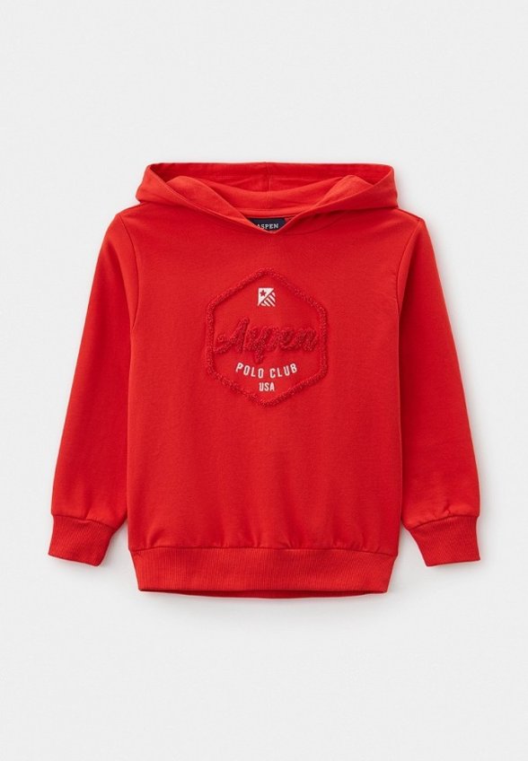 Худи Aspen Polo Club