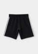 Шорты спортивные adidas Originals2  - превью