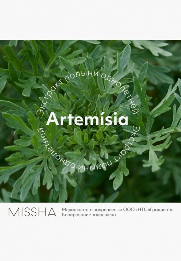 Спрей-мист для лица Missha