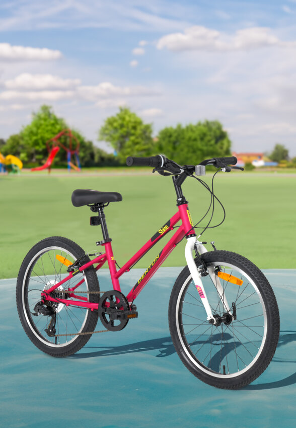 Велосипед для девочек Denton Shine 1.0 20