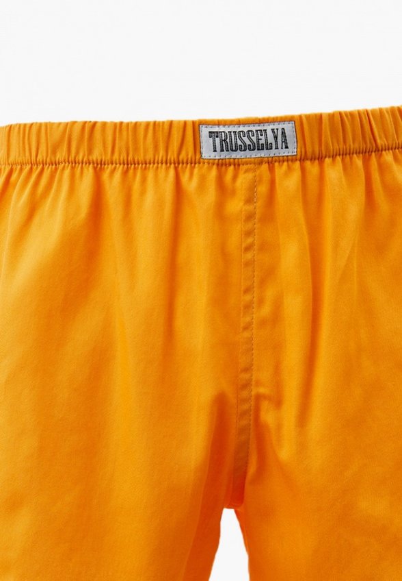 Трусы Trusselya
