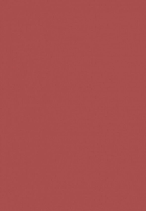 Помада жидкая Muzigae Mansion