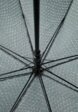 Зонт-трость Baldinini4  - превью