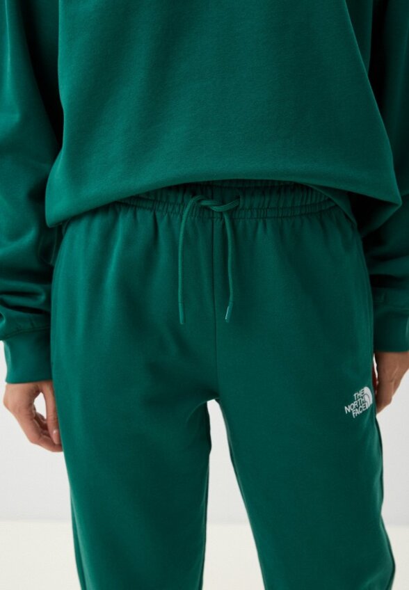 Брюки спортивные The North Face