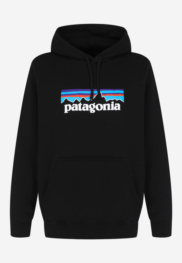 Худи мужское Patagonia Logo Uprisal, Черный