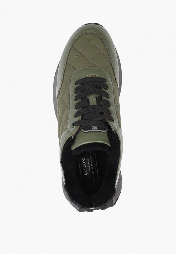 Кроссовки Basconi