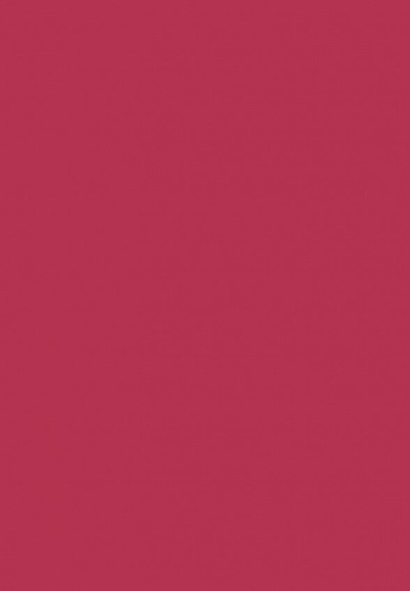 Помада-бальзам Russian Beauty Guru