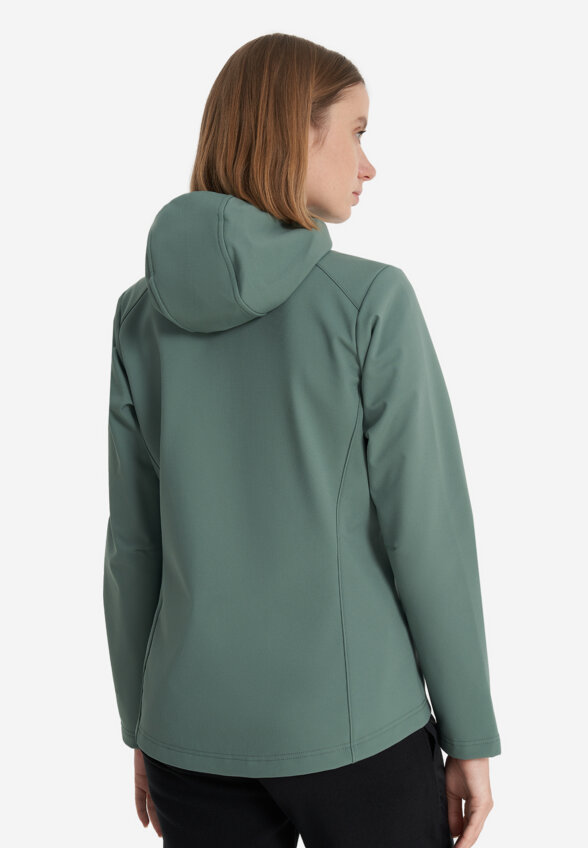 Куртка софтшелл женская Jack Wolfskin Bornberg, Зеленый