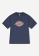 Футболка мужская DICKIES Icon, Синий8  - превью