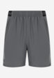 Шорты мужские Under Armour, Серый9  - превью
