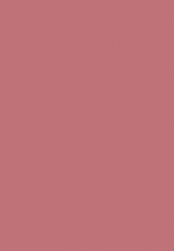 Блеск для губ Limoni