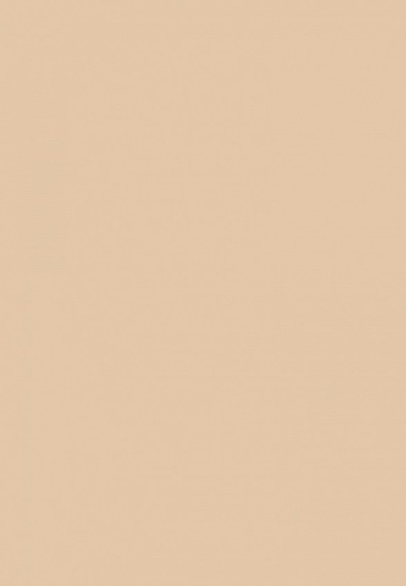 Тональный крем Shik