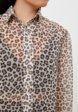 Блуза Zlatoni4  - превью