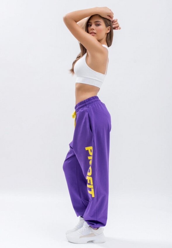 Брюки спортивные Profit