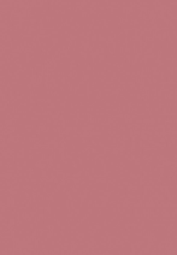 Помада жидкая Deborah