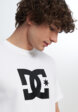 Футболка мужская DC Shoes Star, Белый6  - превью